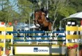 /album/the-best-jump-1-60m-fotos-retiradas-do-site-horseback/a027-jpg/