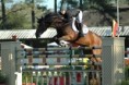 /album/the-best-jump-1-60m-fotos-retiradas-do-site-horseback/a047-jpg1/